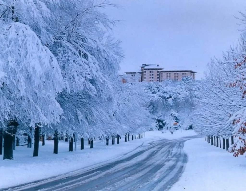 Ifrane